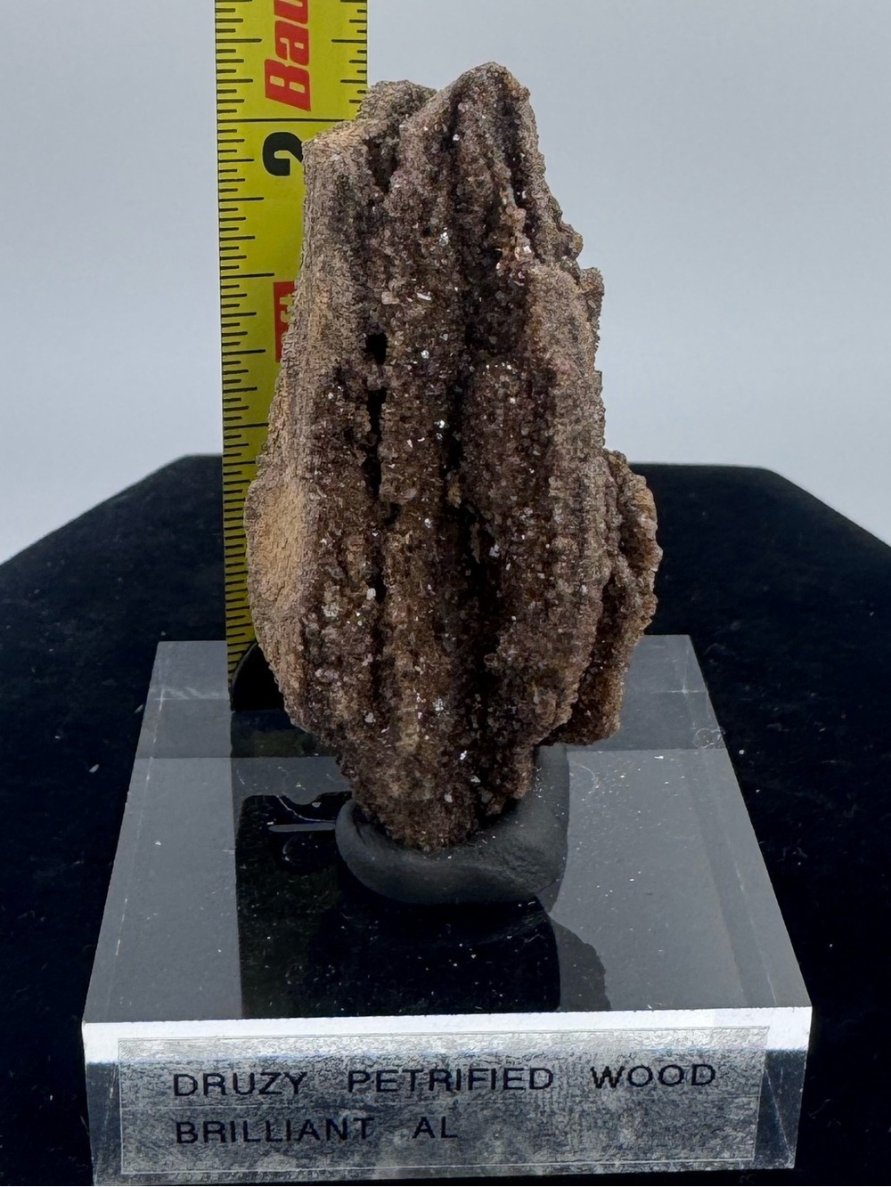 Druzy Petrified Wood Display Piece - Brilliant Alabama - Picture 2 of 6